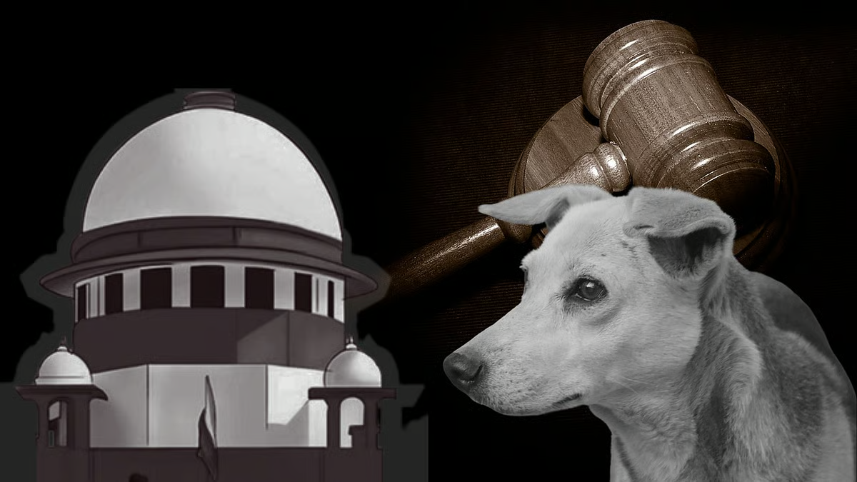 SC directs removal of stray dogs from sensitive zones