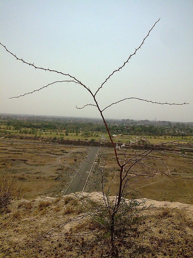 Long-awaited four-laning of the Nangal-Kiratpur Sahib road to commence soon 