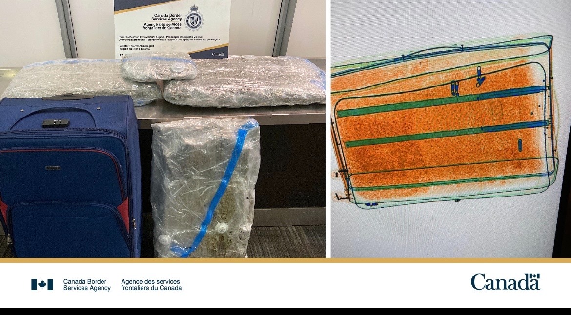 CBSA recovers 23 kg Cannabis in GTA 