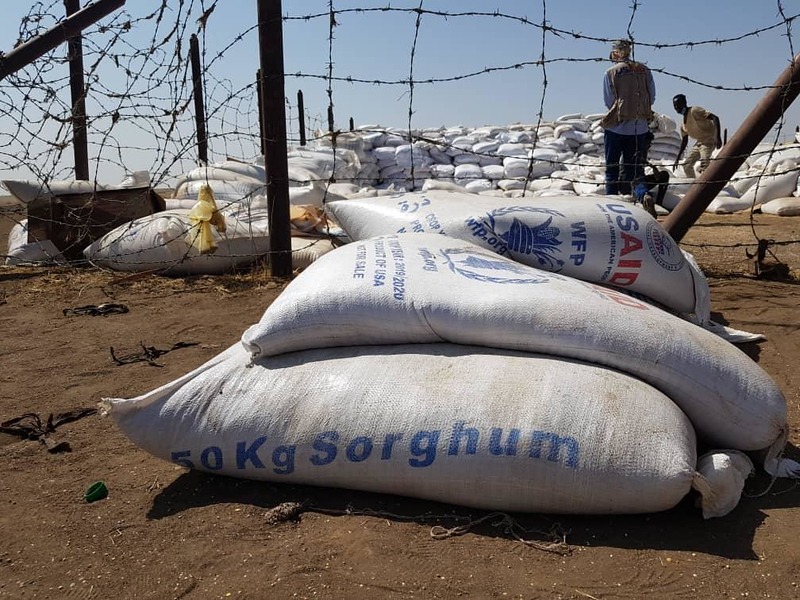 Mass Killings in Sudan as Rapid Support Forces Seize el-Fasher