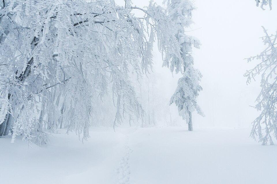 Six Skiers Rescued After after snow storm in California, eight died