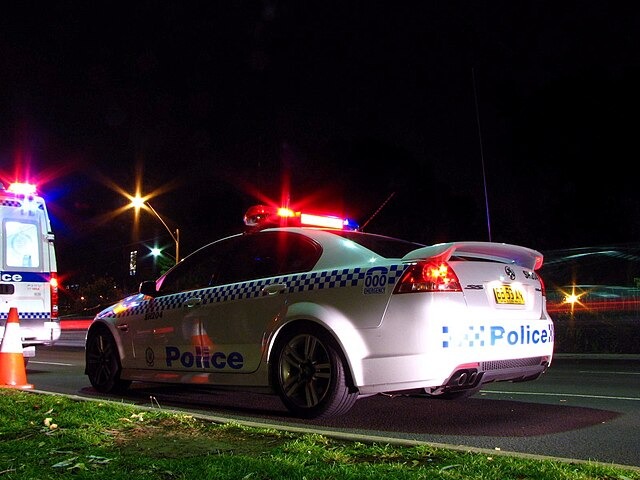 SPS investigates after pedestrian hit and run 