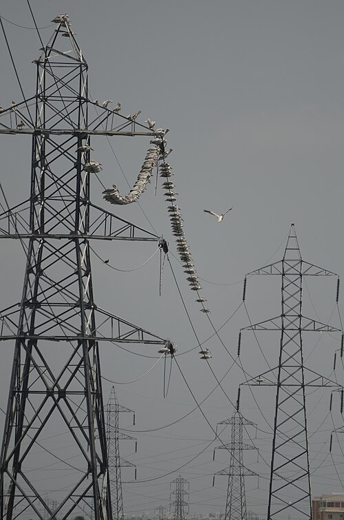 Early Heatwave Pushes Punjab’s Power Demand to 9,422 MW